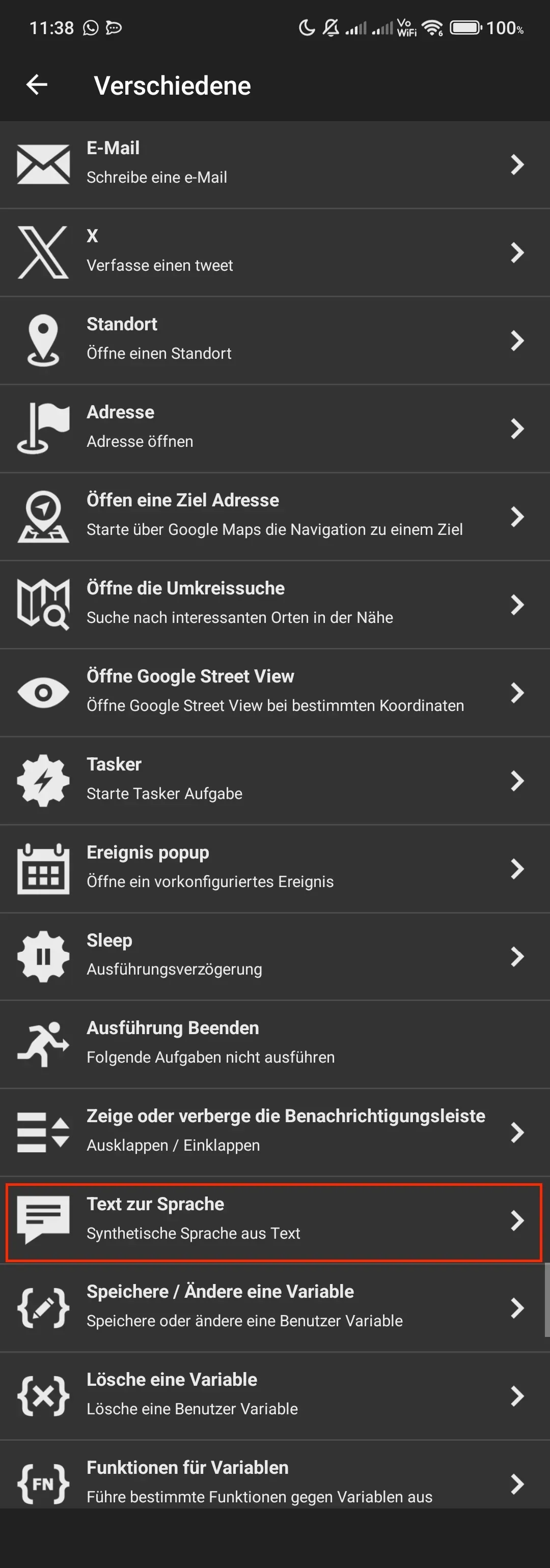 Im Fenster „Verschiedene“ soll die Aktion „Text zur Sprache“ angetippt werden.